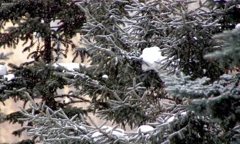 Фото В четверг в Челябинской области на смену морозам придут снегопады