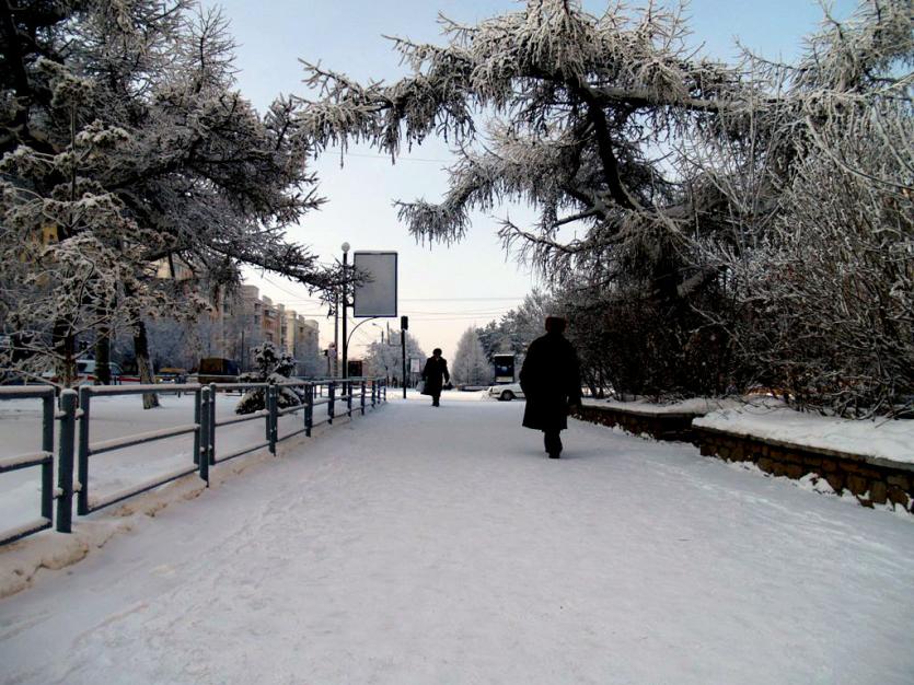 Фото В понедельник в Челябинской области небольшой снег, метели