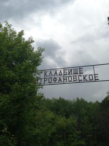 Фото Поваленными ураганом деревьями завалило могилы на «Митрофановском» кладбище