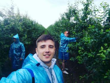 Фото Студотряд «Терра» из Челябинской области собирает ягоды в Крыму