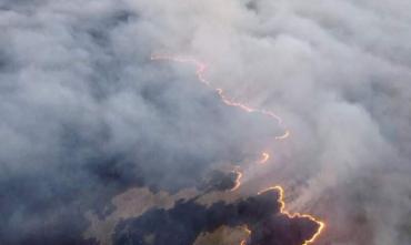 Фото  В Челябинской области за сутки ликвидировано пять лесных пожаров