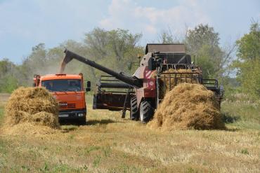 Фото Сельское хозяйство Челябинской области, благодаря импортозамещению, показывает рост
