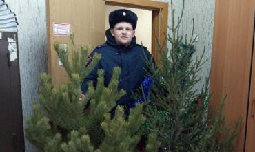 Фото Участковый из Снежинска оперативно задержал похитителей елок