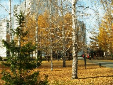 Фото Осенние напасти на челябинскую драму