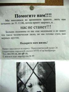 Фото Крик о помощи