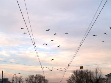 Фото В Челябинске облачно и ветрено