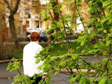 Фото В Челябинске тепло, возможны грозы и ветер