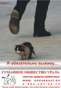 Фото Гуманное общество Урала ждет волонтеров