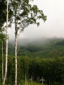 Фото Прохлада и дожди придут на  выходные в Челябинскую область