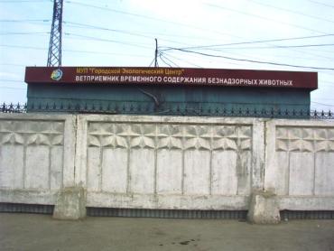 Фото Работники челябинской службы отлова животных начали нападать на людей