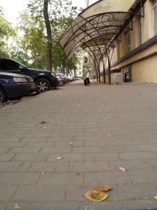 Фото В день рождения Челябинска на Южном Урале холодно 