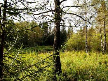 Фото Днем на солнце воздух прогреется