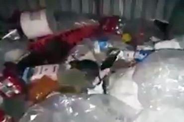 Фото Последствия мусорного коллапса: Челябинск заполонили крысы