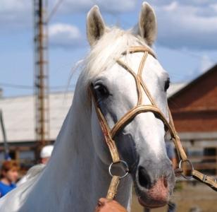 Фото В Челябинской области в выходные ожидаются дожди и грозы
