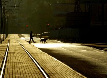 Фото В Челябинской области тепло, ночью туманы