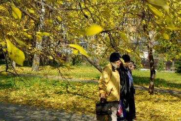 Фото В Челябинской области сухо и тепло. Листопад