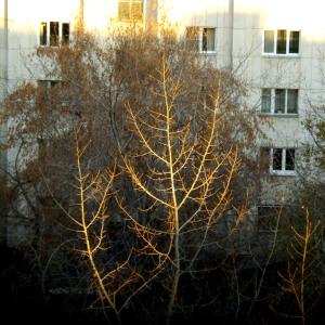 Фото В Челябинской области сохранится сухая и теплая погода