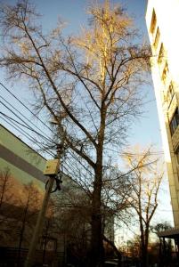 Фото В народной традиции начало зимы, а в Челябинске тепло