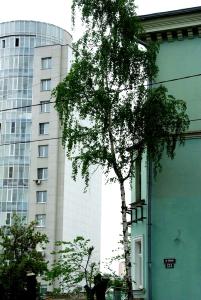 Фото В Челябинской области тепло, дожди