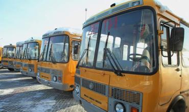 Фото В 2022 году Челябинская область обновит парк школьных автобусов почти на 100 единиц