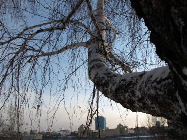 Фото На Иоанна Златоуста в Челябинской области аномально тепло