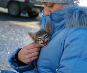 Фото Занятия в школах Челябинска отменили