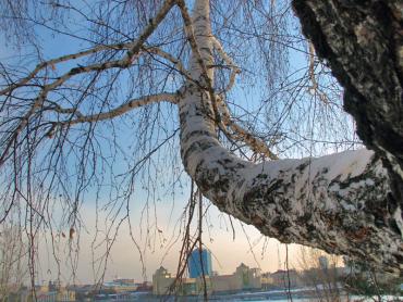 Фото Челябинской области пройдут небольшие снегопады, похолодает