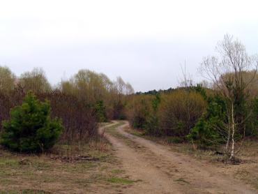 Фото В Челябинской области солнечно и тепло