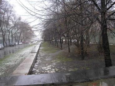 Фото В Челябинскую область пришли дожди и ветры