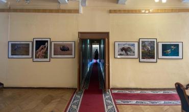 Фото В правительстве Челябинской области открылась четвертая в этом году фотовыставка Исторического музея