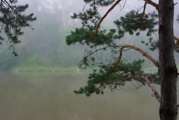 Фото Во вторник в Челябинской области ветрено, тепло и местами дожди