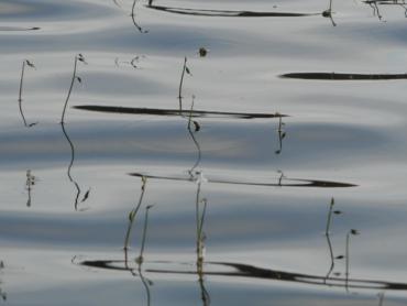Фото Село Кизильское снабжали некачественной питьевой водой