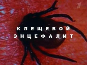 Фото В Челябинской области у 17 человек подозревают клещевой энцефалит