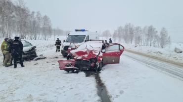 Фото В Сосновском районе во время снегопада погибла пожилая автомобилистка, два человека в больнице