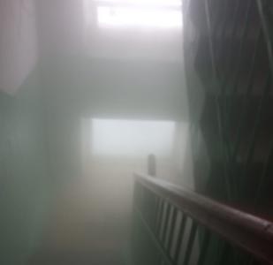 Фото Как ежики в тумане: челябинцы с улицы Цвиллинга теряются в подъездном пару