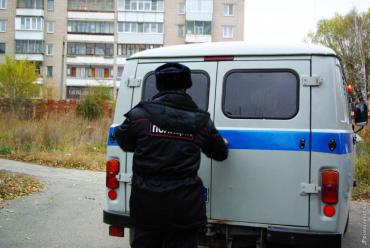 Фото Избивший полицейского южноуралец заключен под стражу
