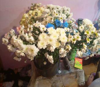Фото Поздравил девушку краденым букетом: задержан челябинец, проникший в цветочный салон