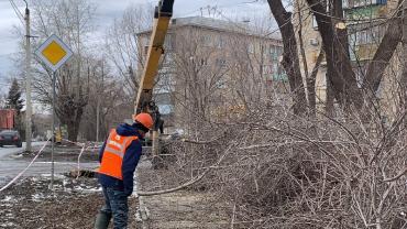 Фото «Горзеленхоз» приступил к обрезке деревьев в Челябинске