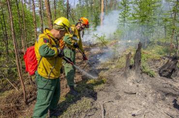 Фото В Челябинской области начинают готовиться к лесным пожарам
