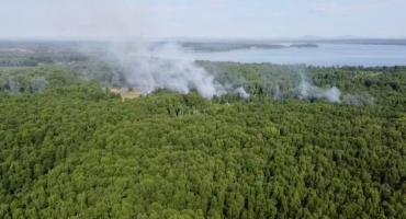 Фото В Челябинской области пик пожароопасного сезона весны придется на май
