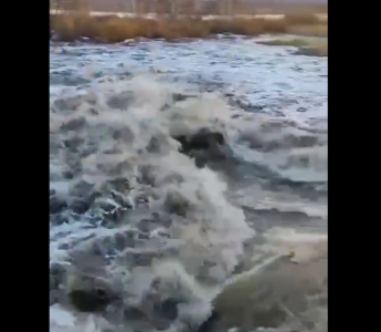 Фото В Пластовском районе прорвало запруду (ВИДЕО)