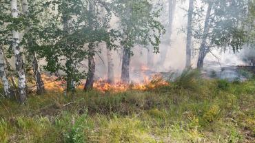 Фото Пятого апреля в Челябинской области установят пожароопасный сезон, но не во всех лесах