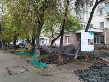 Фото На улице Свободы в Челябинске снесут больные и опасные деревья