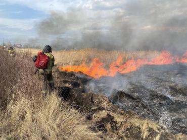 Фото В пожароопасный сезон в Челябинской области сделают ставку на предотвращение возгораний