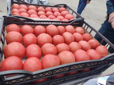 Фото В Челябинск завезли рекордный объем фруктов и овощей из-за границы