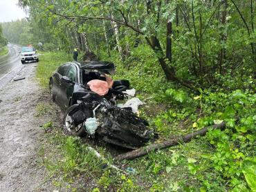 Фото В Миассе при наезде на дерево погиб молодой водитель