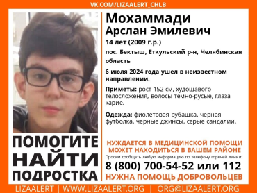 Фото В Еткульском районе пропал 14-летний мальчик
