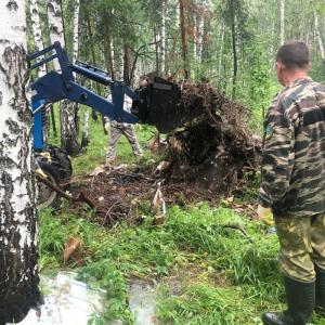 Фото Каштакский бор избавили от стихийной свалки мусора