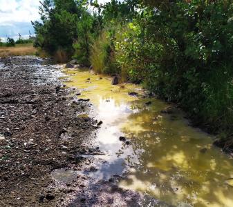 Фото В водоем поселка Снежинска могут стекать ядохимикаты