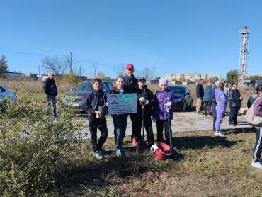 Фото В Карталах в честь героев СВО посадили ореховую рощу